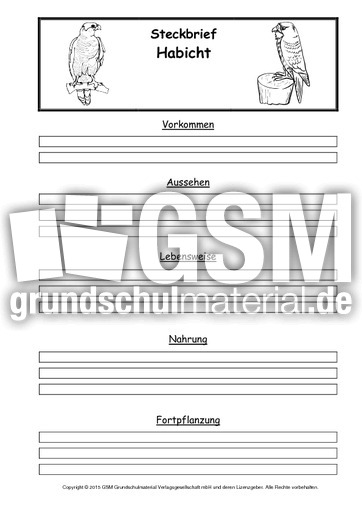 Steckbriefvorlage-Habicht.pdf